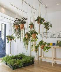 Hanging Garden Hanging Plants Indoor