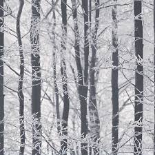 Woodland Wallpaper Trees Winter Forest
