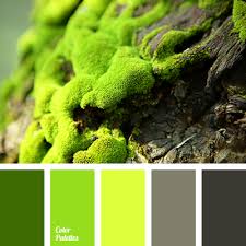moss color color palette ideas