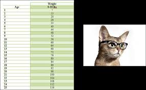 Cat Pet Age In Human Years Chart Greens Fork Animal Hospital