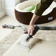 vax carpet cleaner pet dual power