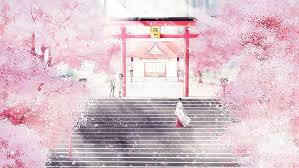 pink cherry blossoms noragami cherry