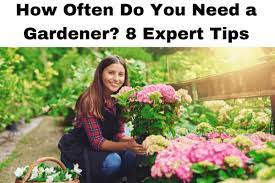 How Often Do You Need A Gardener 8