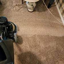 healthy green carpet cleaning 914