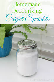 make your own deodorizing carpet powder