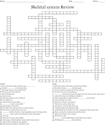Our free online crosswords for the vocabulary list, anatomy (bones), are just a taste of our online study tools! Skeletal System Review Crossword Wordmint