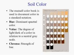 Soil Colour