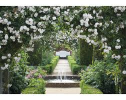 mottisfont rose garden hshire