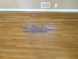 cat urine out of hardwood floors 2024