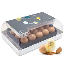 jumbl mini egg incubator automatic