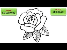como dibujar una rosa y aprende como se