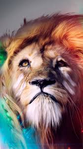 53 colorful lion