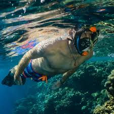 Aria Classic Black Ocean Reef Snorkeling