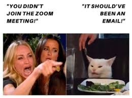 With audio vs with video. Funny Zoom Profile Pictures Meme Novocom Top