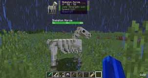 do-skeleton-horses-eat