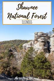 There are several lakeside picnic sites, plus a fishing pier and a large picnic shelter overlooking the beach. Exploring Shawnee National Forest Illinois The Walking Mermaid