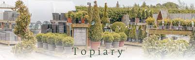 topiary creative gardens