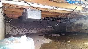 Crawl Space Pests Know What Attracts