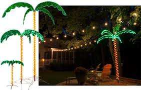 rope lights on palm trees off 60