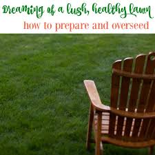 Overseeding—as part of a comprehensive, proactive plan—keeps lawns looking great. How To Prepare And Overseed Your Lawn The Happy Housie
