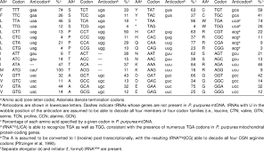 Codon Frequencies And Trna Recognition Pattern In P