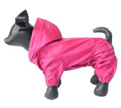 Cheap Back Legs Dogs Find Back Legs Dogs Deals On Line At