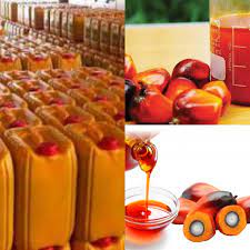 Palm oil export: BusinessHAB.com