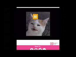 Videos Matching Kitteh Kitter And Catto Internet Names