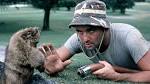 Image result for caddyshack gopher
