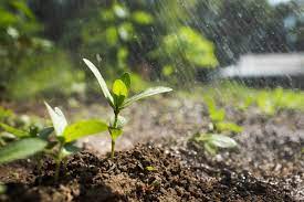 How To Make And Maintain Fertile Soil