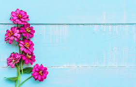 Check spelling or type a new query. Wallpaper Flowers Background Wood Blue Flowers Purple Images For Desktop Section Cvety Download