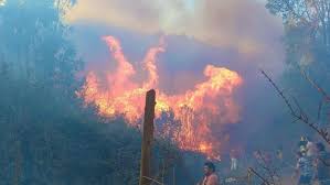 Ocurrencia de fuego no controlada y destructiva. Declaran Alerta Roja Por Incendio Forestal Cercano A Zonas Pobladas En Vina Del Mar Y Quilpue Meganoticias
