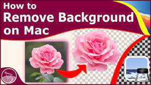 how to remove image background on mac