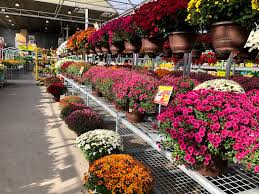 No personal info in posts keep things anonymous. Garden Center Garden Centre At The Home Depot In Richmond Bc Liveway