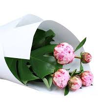 Combo delivery in sydney australia. Pink Peony Posy Peonies Online Value Flowers Sydney