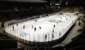 Fresno Monsters Bring Hockey Back To Selland Arena The