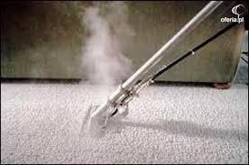 professional steam carpet cleaning in