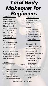 day workout routines for beginners