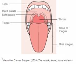 mouth cancer awareness symptoms the