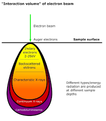 electron microscopy techniques