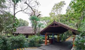 coorg package from bangalore by car for