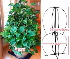 Each set contains one circle, zig zag and hexagon shaped trellis to support your plants. Scroll Trellis 20 Inches X 20 Inches X 38 Inches 2 Tier For Small Spaces Pothos Tomato Climbing Plant Obelisk For Planters Or In Ground Lead Mercury Bpa Free 1 Strong Plant Support Buy
