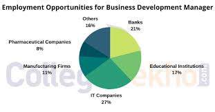 A business plan is your opportunity to tell the world about what your business is all about. Career As Business Development Manager How To Become Courses Job Profile Salary Scope