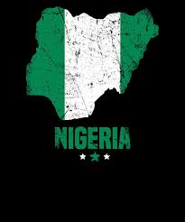 Nigeria Nigerian Flag Digital Art by Michael S