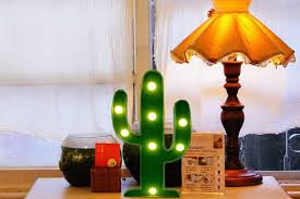 5 trending pieces of cactus decor for