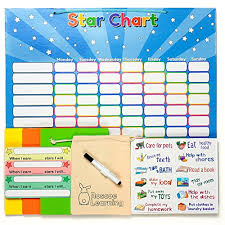 Roscoe Learning Responsibility Star Chart Customize For 1
