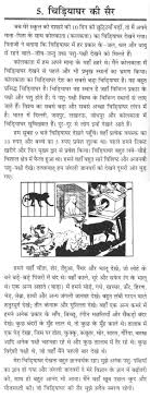 essay on to zoo in hindi essay on zoo in hindi language essay on to zoo in hindi