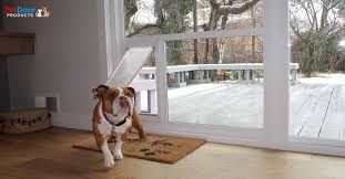 Which Pet Door Is Not Drafty Prevent