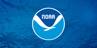 Marine Mammal Taxonomy | NOAA Fisheries