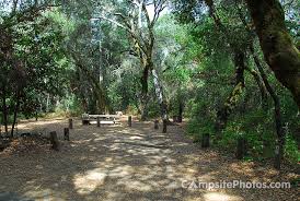 Henry cowell redwoods state park. Henry Cowell Redwoods State Park Campsite Photos Camping Info
